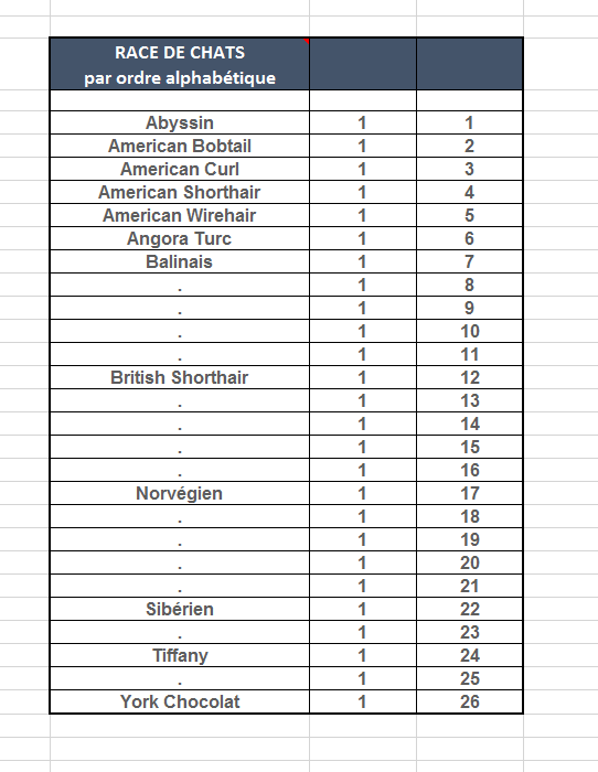 insérer un total excel