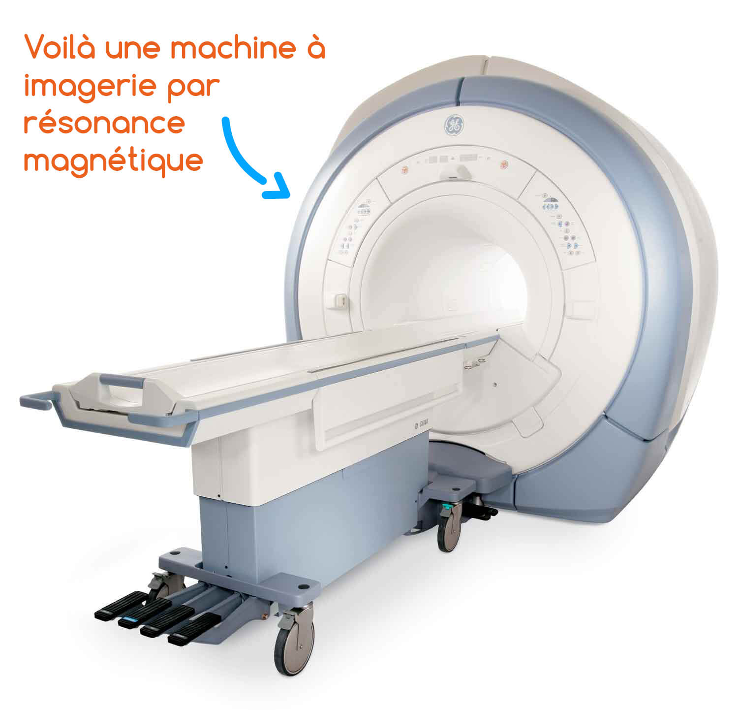 multi-tâche : analyse du cerveau par IRM
