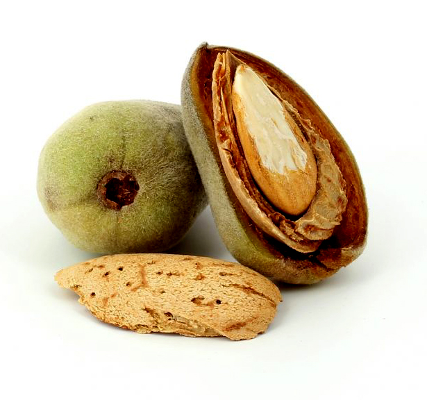 Huile d'amande douce