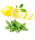synergies citron et menthe poivrée