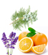 synergie lavande orange cypres