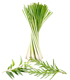 synergie lemongrass romarin eucalyptus radié