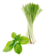 synergies basilic lemongrass