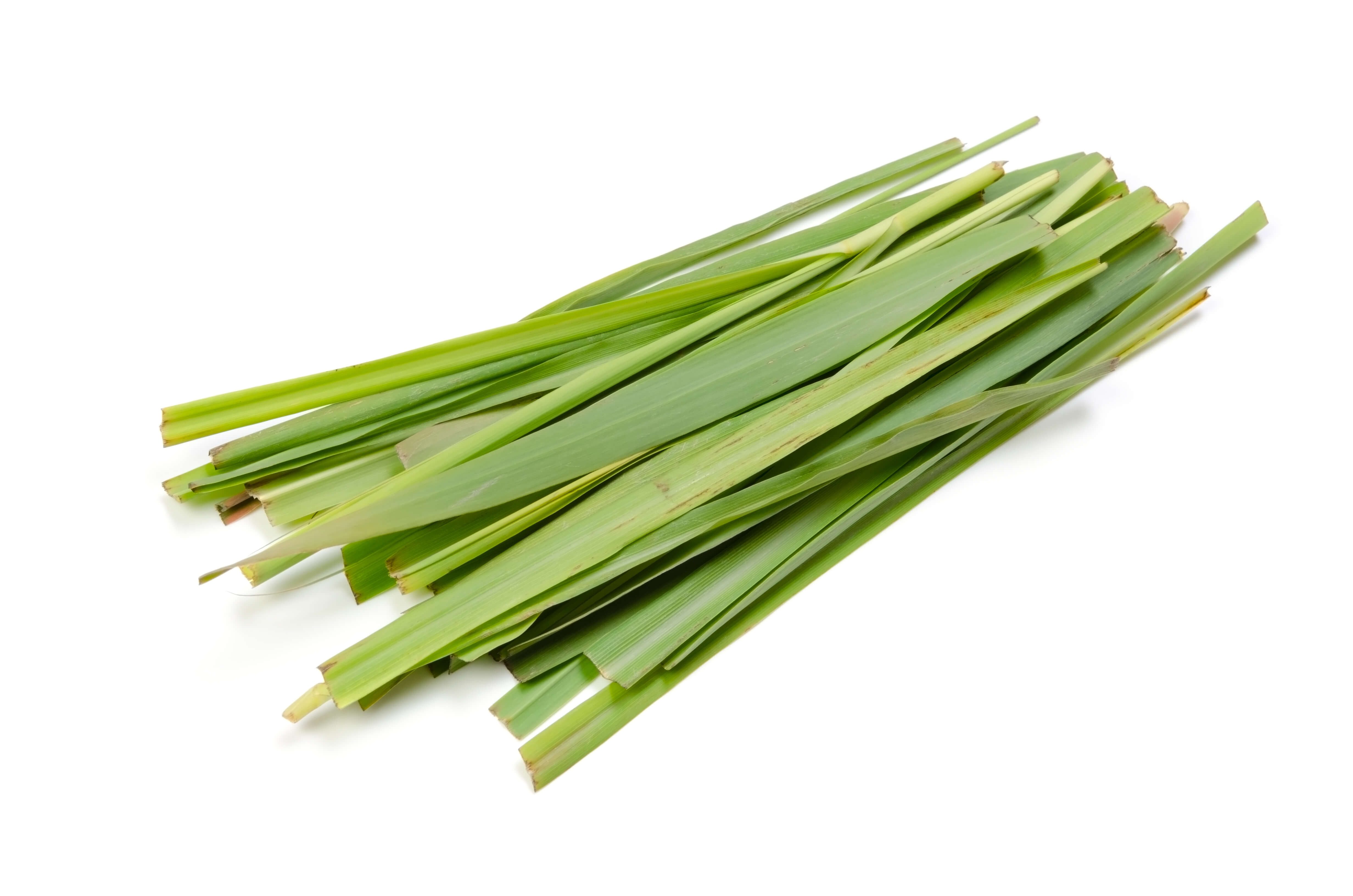 huile essentielle de palmarosa