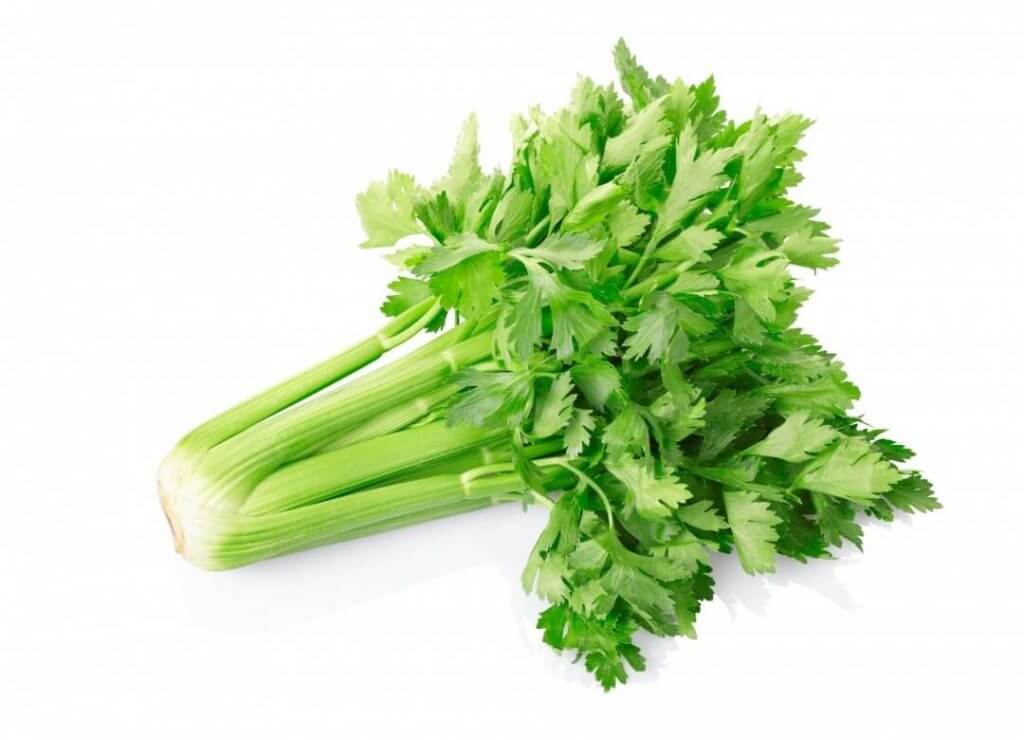céleri branche est laxatif et digestif
