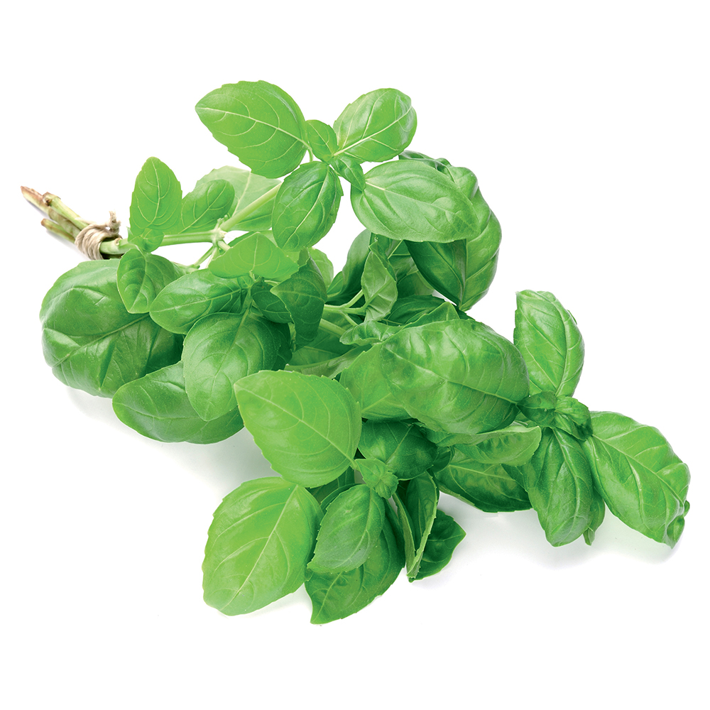 Nourrissante pour les cheveux