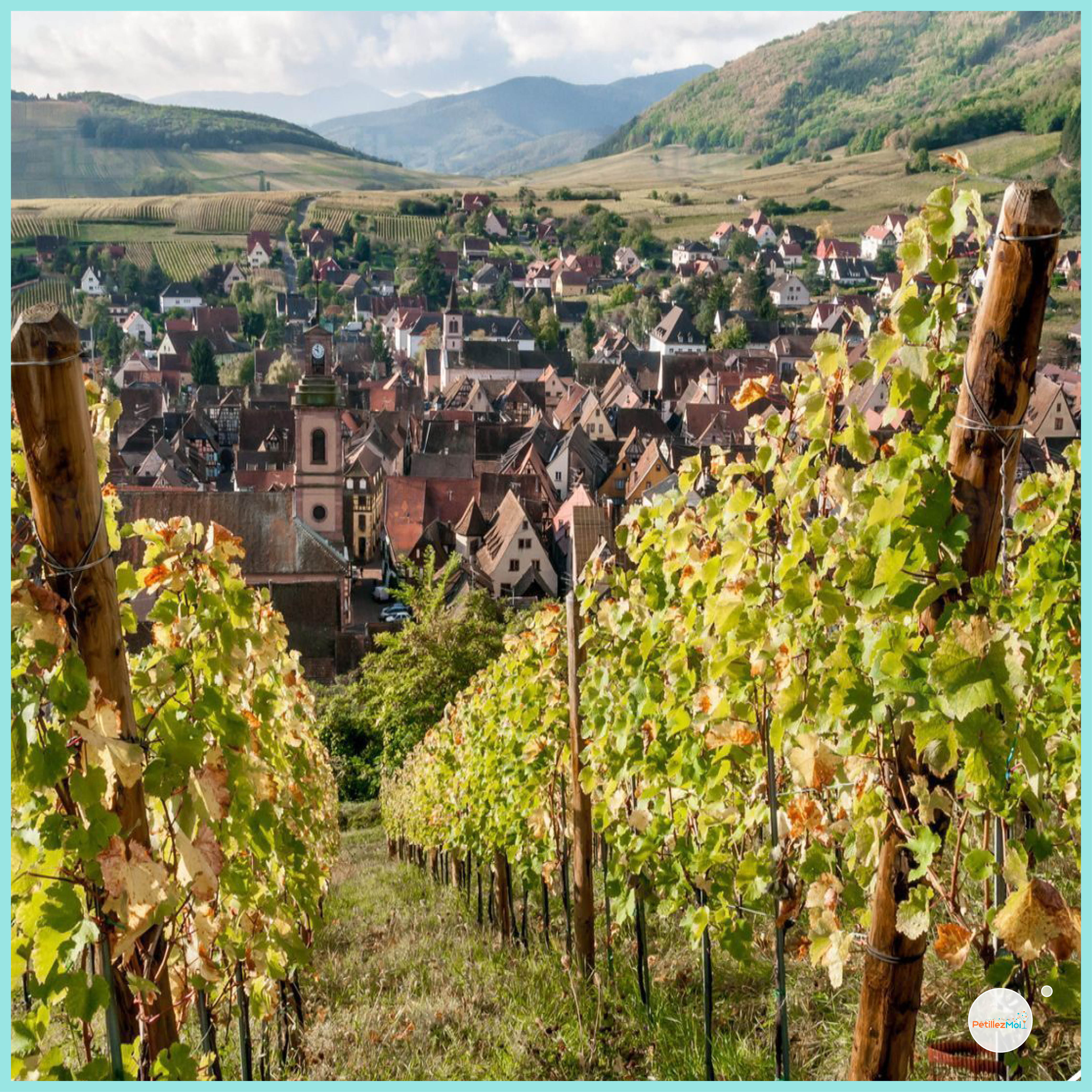 Vignes à Colmar