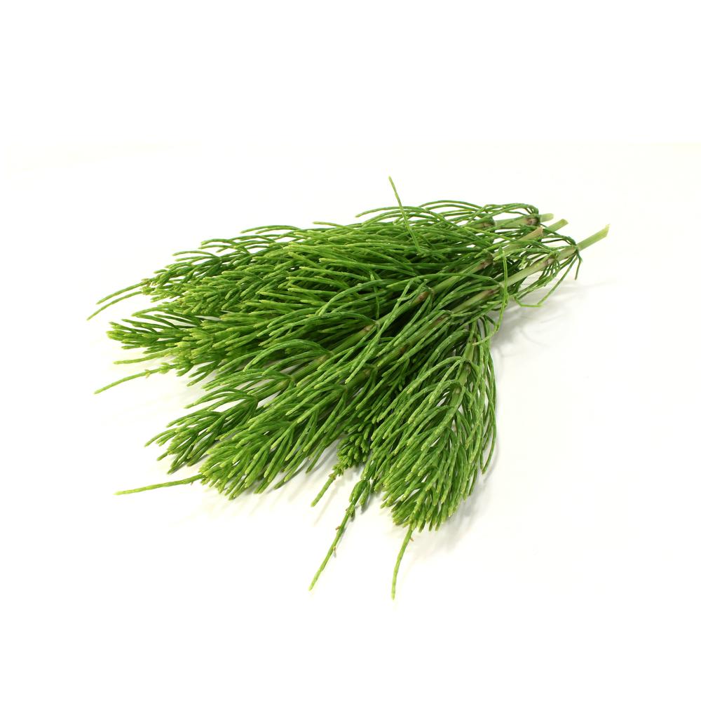 prêle anti chute des cheveux